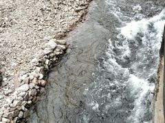 -楠溪江石桅岩