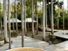 -桉树林A coffee 森林餐厅(三圣乡店)