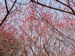 -白塘生态植物园