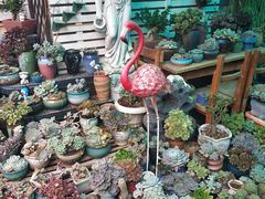 -杨厝六十六农庄农舍(杨厝路店)