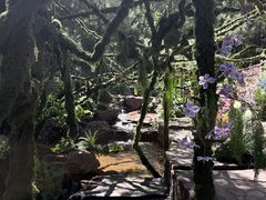 -山叶口景区