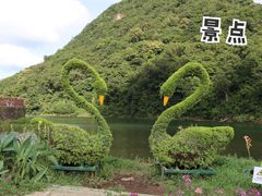 -广州市石门国家森林公园