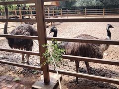 -秦皇岛野生动物园