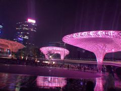 -宝安西湾红树林湿地公园