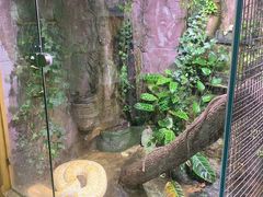 -上海大自然野生昆虫馆(东方明珠·爬宠昆虫探索中心)