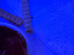 -皇马纯KTV(景田店)