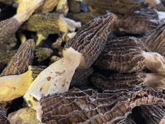 -鲜菌江湖正宗野生菌火锅