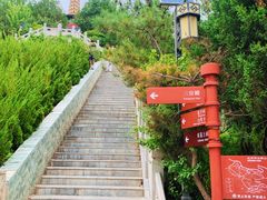 -白塔山公园