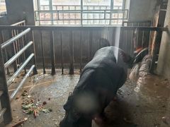 -青藏高原野生动物园