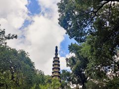 -西泠印社