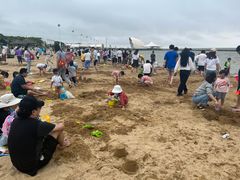 -碧海金沙