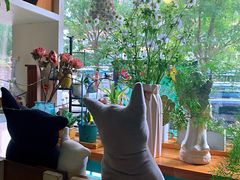 -Kitchen·Y洋厨房西餐厅(王府壹号店)