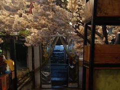 -甲大帅·甲鱼·椰子鸡主题餐厅(唐家店)
