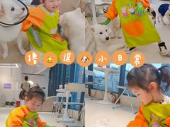 -怪兽屋·羊驼·猫咖·狗咖(俊华广场店)