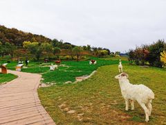-南泥湾风景区