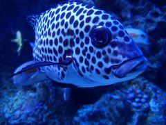 -成都浩海立方海洋公园