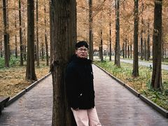 -黄海国家森林公园