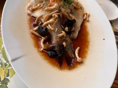 -青梅酒肆PLUS(长白仙岛北路店)