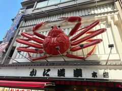 -蟹道乐(道顿堀本店)
