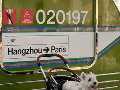 -LV路易威登(杭州万象城店)