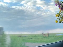 -塞罕坝国家级自然保护区