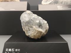 -香港科学馆
