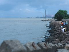 -上海滨江森林公园