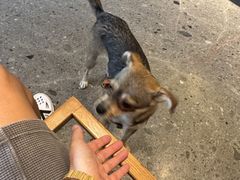 -阿嬷手作(成都万象城店)