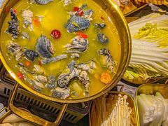 -Darling Queen·Mini·Live·House