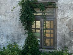 -硇洲岛旅游区