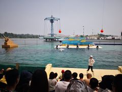 -秦皇岛乐岛海洋王国