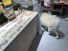 -肆兮眼镜·蔡司·徕卡战略合作店(大坪店)