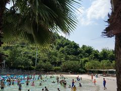 -重庆海昌加勒比海水世界