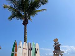 -玫瑰海岸文化旅游度假区