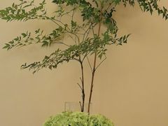 -南堂小馆·川菜馆(德商国际店)