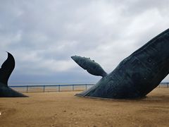 -金沙滩海水浴场(万平口景区4号门扬帆广场店)