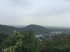 -上海佘山国家森林公园西佘山园