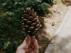 -洛阳白云山景区