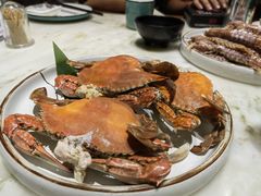 -天天鱼港·海鲜·鲅鱼水饺·招牌烤鸭(黄骅店)