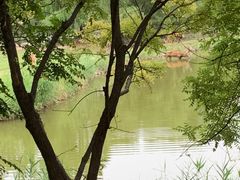 -北京麋鹿生态实验中心