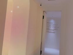 -紫御国际抗衰ZOE ANTI AGING