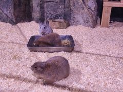 -正佳雨林生态植物园