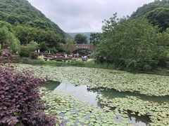 -桃花岭景区