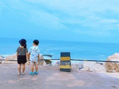 -广东惠东海龟国家级自然保护区