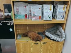 -四月宠物医院·猫专科·心脏专科·内科(转塘店)
