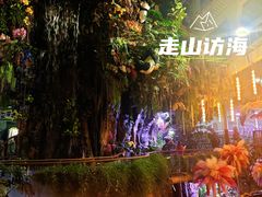 -正佳雨林生态植物园