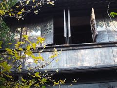 -黎里古镇