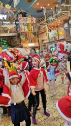 -卡通尼·Safari非洲探索乐园·生日会(金桥国际商业广场店)