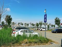 -养马岛旅游度假区