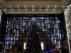 -大雁塔假日酒店·绿茵阁西餐厅